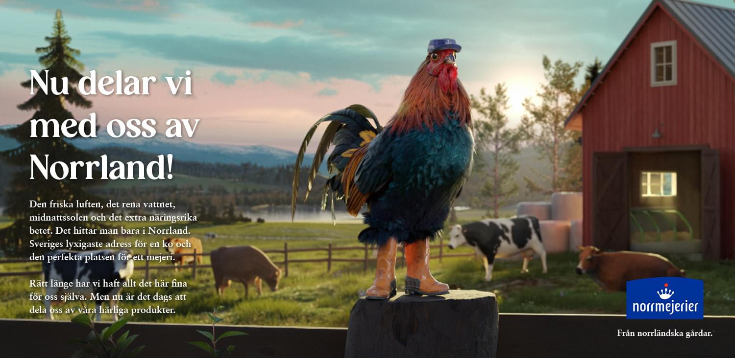 Nu delar vi med oss av Norrland
