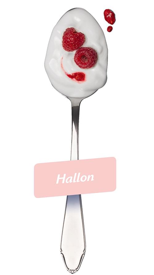 Hallon