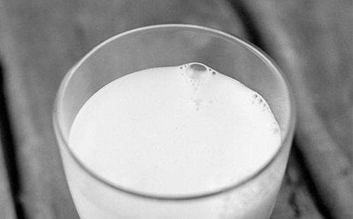 Så tillverka Norrmejerier sin goda laktosfria mjölk